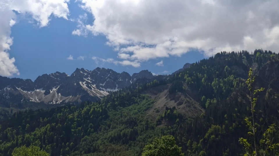 Wälder